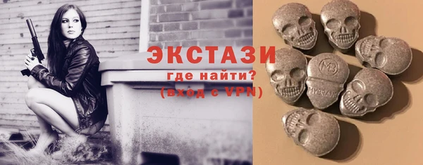 стаф Алзамай