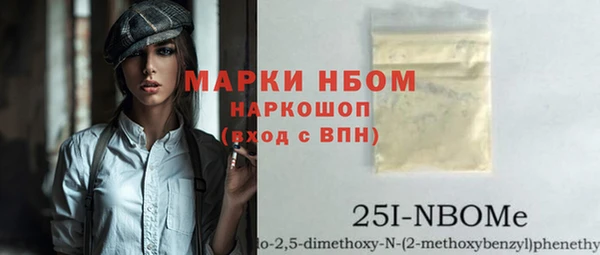 стаф Алзамай