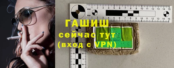 стаф Алзамай