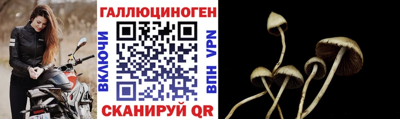 Галлюциногенные грибы мицелий  закладка  ОМГ ОМГ сайт  Вышний Волочёк 